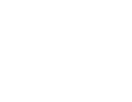 oiseaux